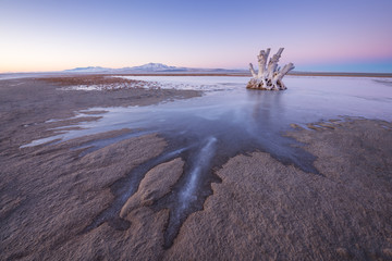 Antelope Island in winter © kojihirano