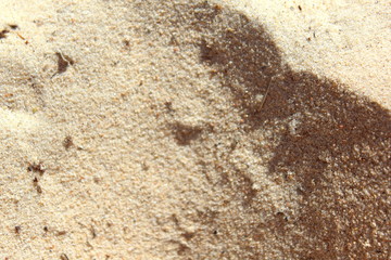 The coasts of the Baltic Sea are sand textured