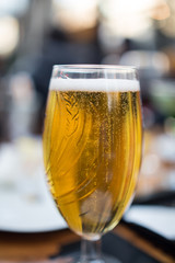 gold beer in beer mug service in the open air public bar