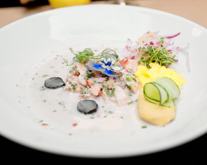 creative salad on a white plate