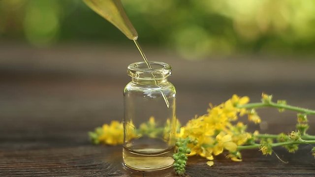Essence of flowers on table in beautiful glass Bottle