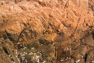 The rocky sea background at Phuket Thailand