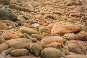 Fototapeta na wymiar Rocky background in beach Phuket Thailand