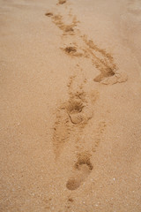 footprint on the beach in the sand into the distance