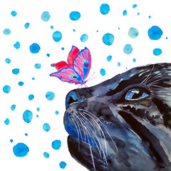 Hand painted black cat watercolor illustration. Watercolor black cat and pink butterfly isolated on white background.