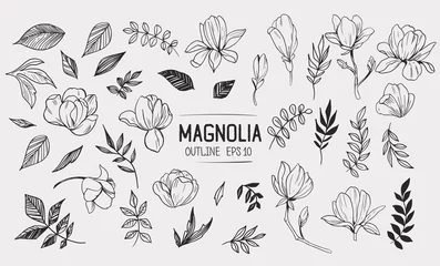 Foto op Canvas Set of magnolia with leaves. Floral elements for design. Vector. Isolated © aksol