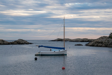 Lone Sail Boat