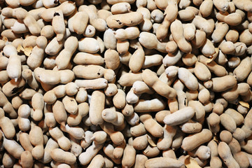 Group of ripe sweet tamarind at fresh-food market in Thailand
