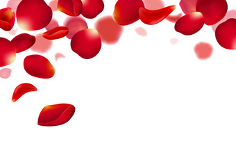 Red rose petals falling on white background vector illustration
