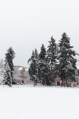 University of Washington, February 2019