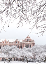 University of Washington, February 2019