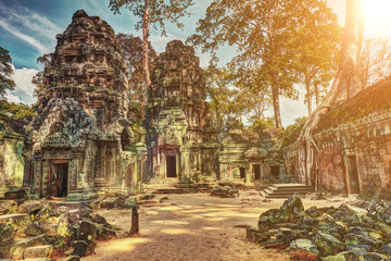 Ta Prohm temple angkor wat unesco world heritage site - obrazy, fototapety, plakaty