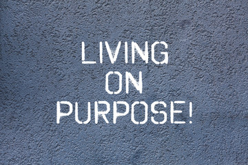 Text sign showing Living On Purpose. Conceptual photo Achieve balance between their heart and career job Brick Wall art like Graffiti motivational call written on the wall
