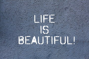 Text sign showing Life Is Beautiful. Conceptual photo enjoy every moment includes nature family or friends Brick Wall art like Graffiti motivational call written on the wall