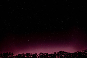 Fototapeta na wymiar Pink Night Sky