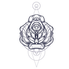 Elegant element of a stylized flower with smooth lines. Stylized floral element for design.