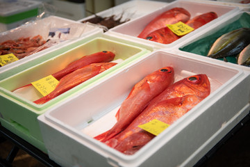 Fresh splendid alfonsino or Fresh Kinmedai on ice in form box at the fish market in Yanagibashi Central Market. Japan.