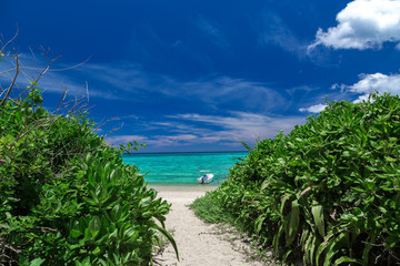 Fototapeta na wymiar 沖縄のビーチ（石垣島）