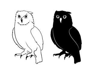 Owl hand drawn outline, doodle style. Owl bird symbolizing wisdom vector sketch illustration. Design for print, web, mobile and infographics isolated on white background.