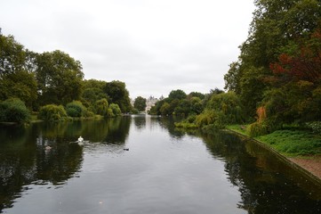 Fototapeta na wymiar landscape with river and trees london