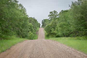 gravel country road going up a hill surrounded by trees.