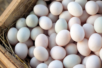 Duck's eggs in wooden boxes