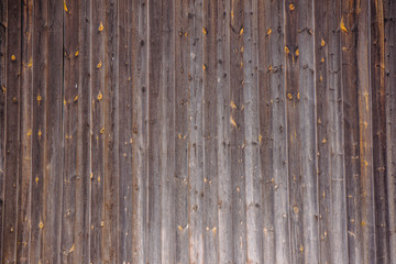Wood planks structure timber texture vintage background