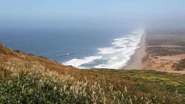 Waves Break on the California coast of Point Reyes National Seashore as viewed from high atop a bluff with grasses and flowers blowing in the sea breeze.