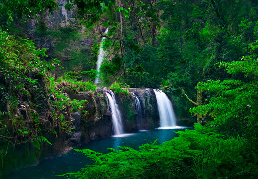 Beautiful scenery of cascade of tree waterfalls tumbling down the moss-covered cliffs by the mountainside with plants.Nandroya Falls Atherton Tablelands. Far North Queensland. Australia.-Image. 
