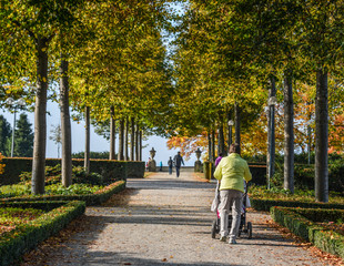 Autumn city park, amazing fall colors