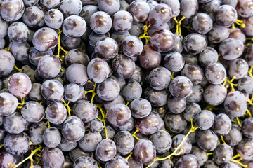 black grapes, fruit and vegetable exhibits