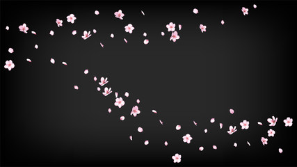 Nice Sakura Blossom Isolated Vector. Tender Falling 3d Petals Wedding Border. Japanese Style Flowers Wallpaper. Valentine, Mother's Day Watercolor Nice Sakura Blossom Isolated on Black