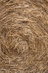 hay bale