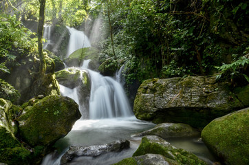 Fototapeta premium waterfall in the forest