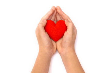 Obraz premium Red heart in young women hands isolated white background.Valentine concept.