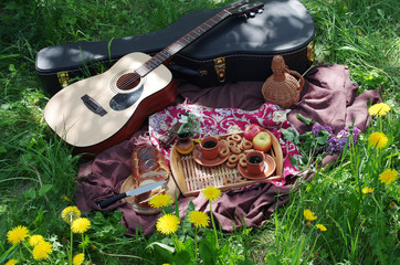 Picnic on the green lawn. Acoustic guitar, tray, cups, bottle of wine, loaf