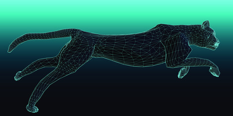 cheetah running fast in an African safari © westCloud