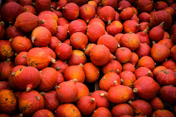 Pumpkins from farm after harvest Autumn Halloween