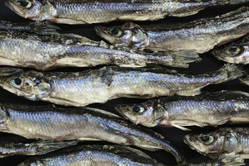 Background of dry small European smelt fishes