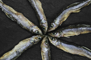 Circle of dry small European smelt fishes on black background