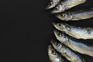 Dry small European smelt fishes on black background with copy space
