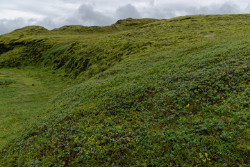 Landschaft an der F208, Island