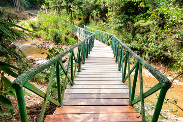 Wood bridge in rain forest in National park in Karnchanaburi province in Thailand. Selective focus