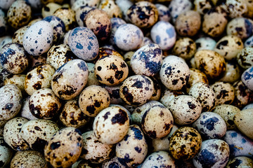 close up textured background of quail eggs. High protein for Diet