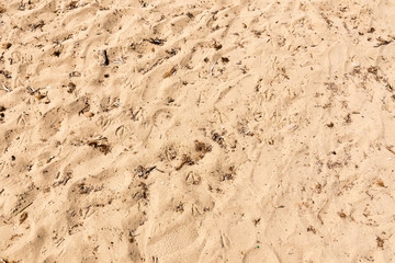 Sand on beach textures