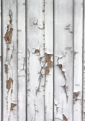 faded weathered white cracked peeling paint on an old wood barn siding