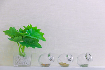 houseplant in pot and spice in bottles on white wooden shelf. Copyspace.