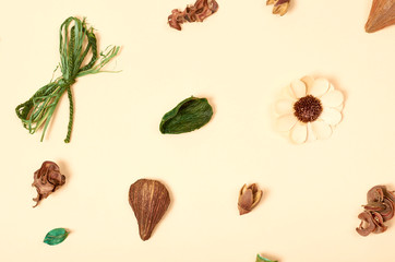 Leaves composition. Nature concept background. Flat lay