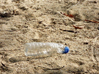 message in a bottle