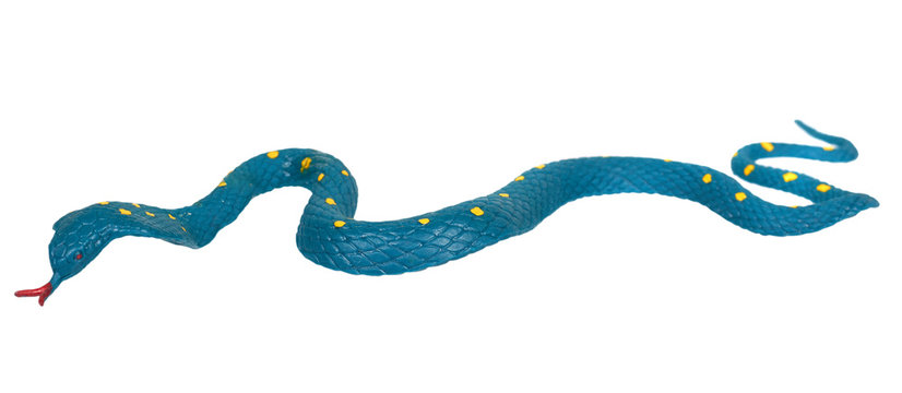 Fake snake toy, rubber animal for game.